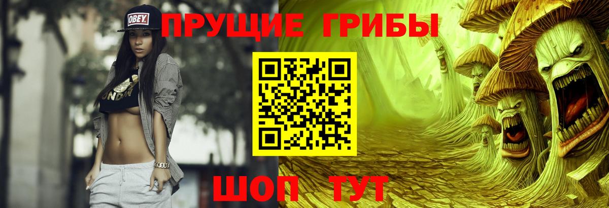 Галлюциногенные грибы Psilocybe  Вход с VPN  Нефтекумск  Галлюциногенные грибы ЛСД 
